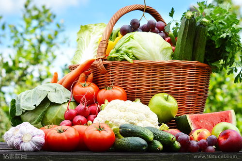 秋季养生 挑选与食用新鲜水果的智慧指南