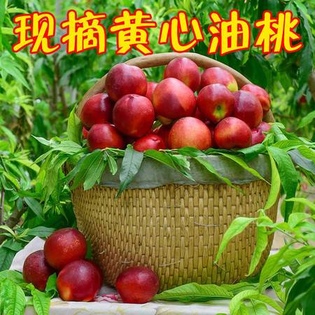 现摘当季时令新鲜水果黄油桃3斤包邮 非水蜜非毛桃，这才是夏天的甜蜜滋味
